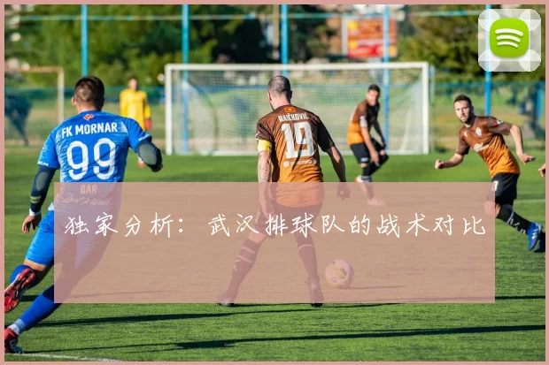 独家分析：武汉排球队的战术对比