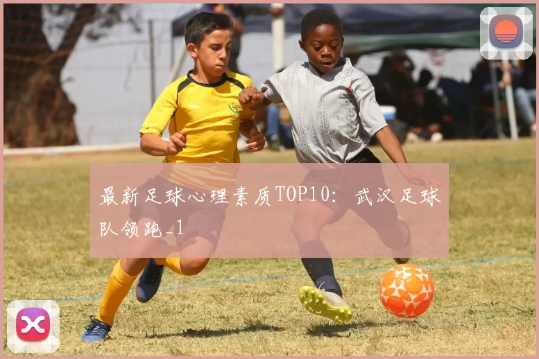 最新足球心理素质TOP10：武汉足球队领跑_1