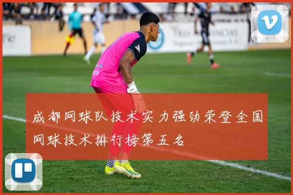 成都网球队技术实力强劲荣登全国网球技术排行榜第五名