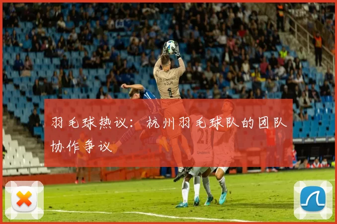 羽毛球热议：杭州羽毛球队的团队协作争议