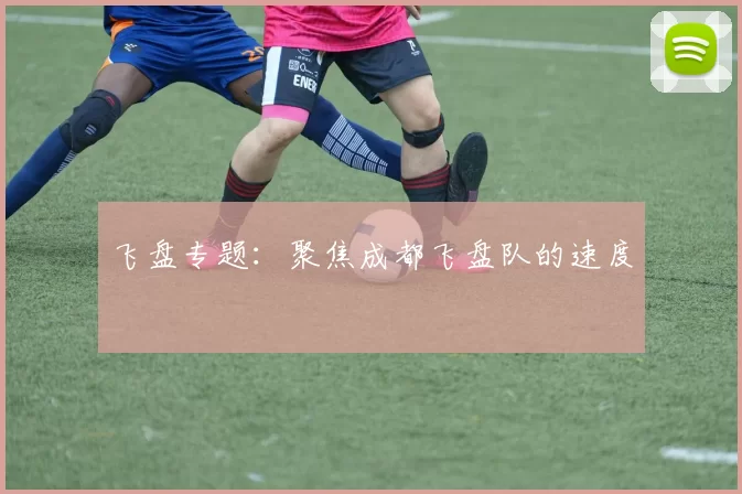 飞盘专题：聚焦成都飞盘队的速度