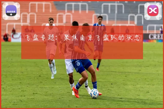 飞盘专题：聚焦南京飞盘队的状态